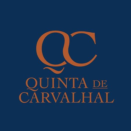 吉马良斯Quinta De Carvalhal - Casa Da Vinha别墅 外观 照片