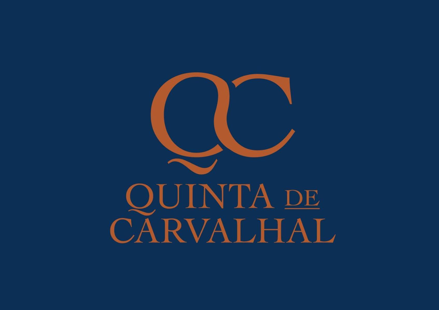 吉马良斯Quinta De Carvalhal - Casa Da Vinha别墅 外观 照片