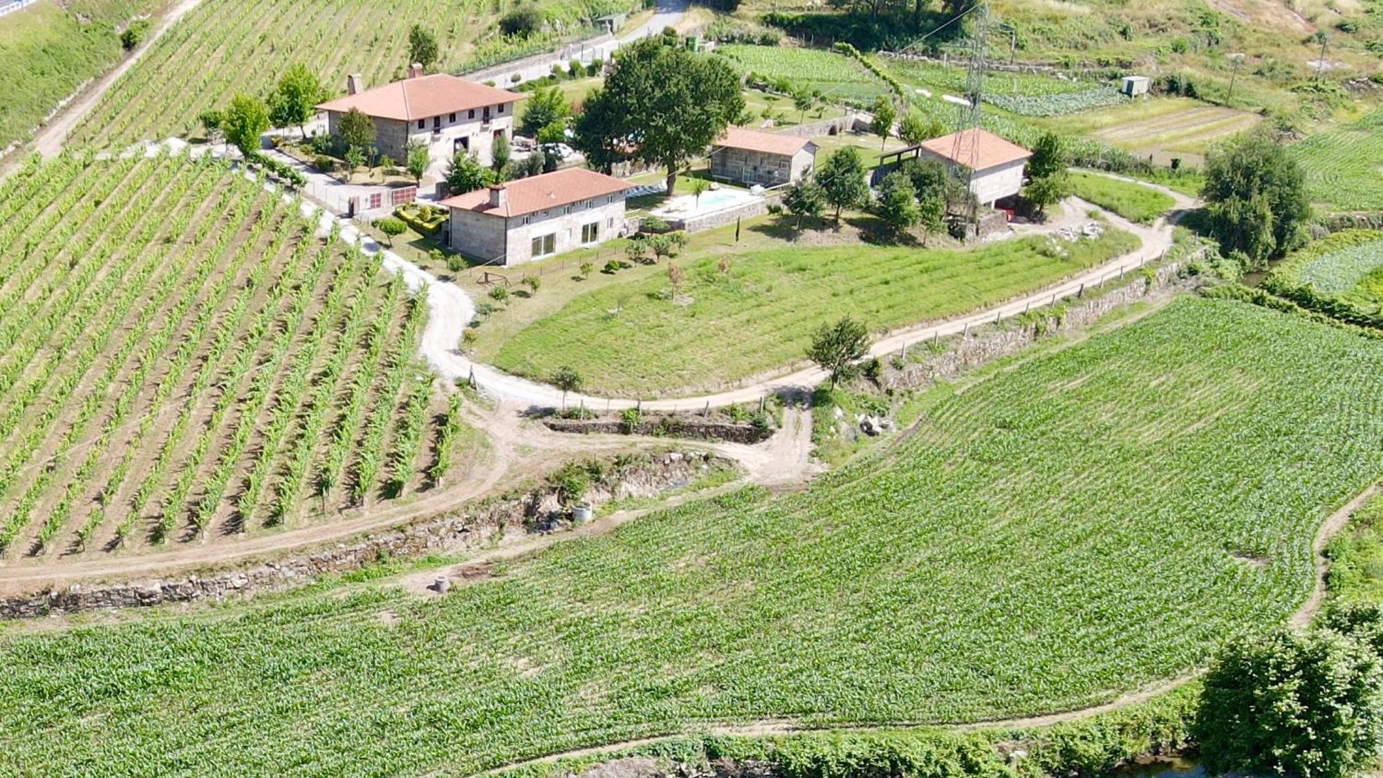 吉马良斯Quinta De Carvalhal - Casa Da Vinha别墅 外观 照片